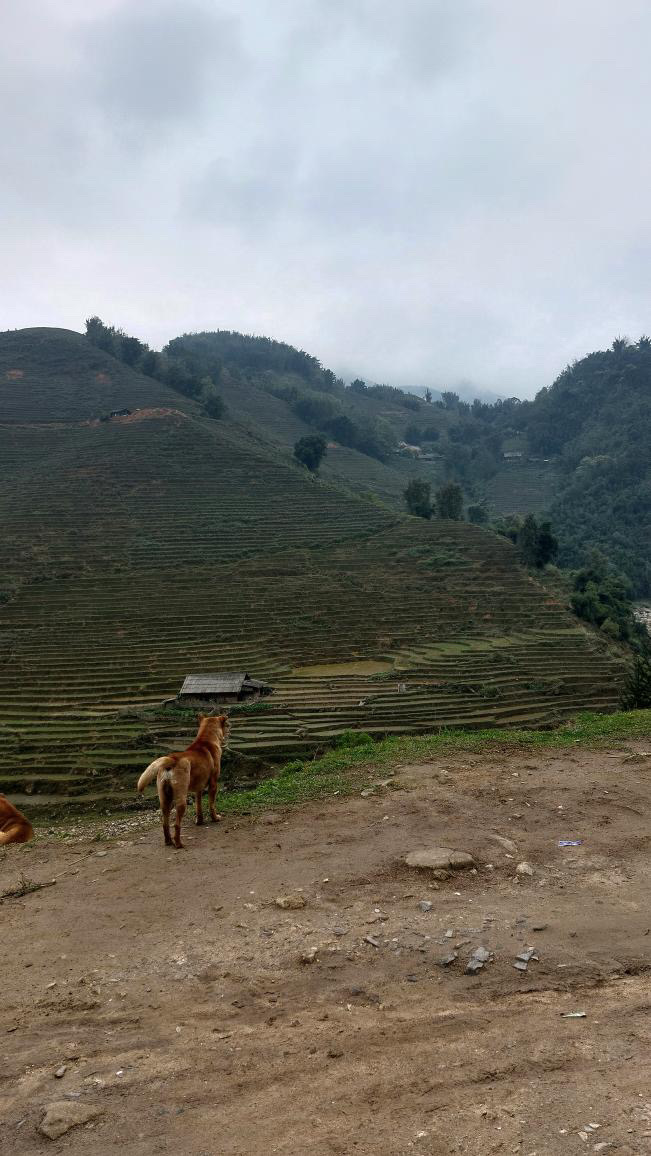 Trek v údolí Muong Hoa