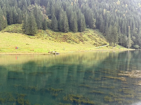 Sterischen Bodensee