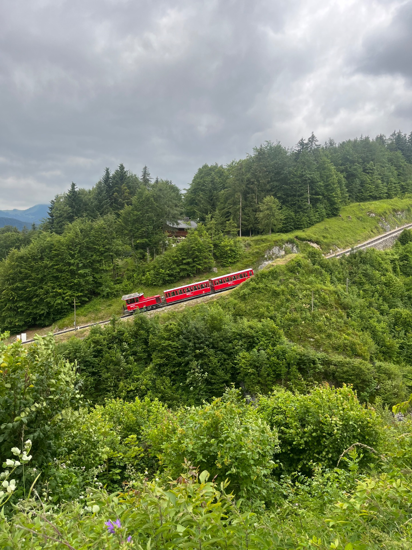 SchafbergBahn