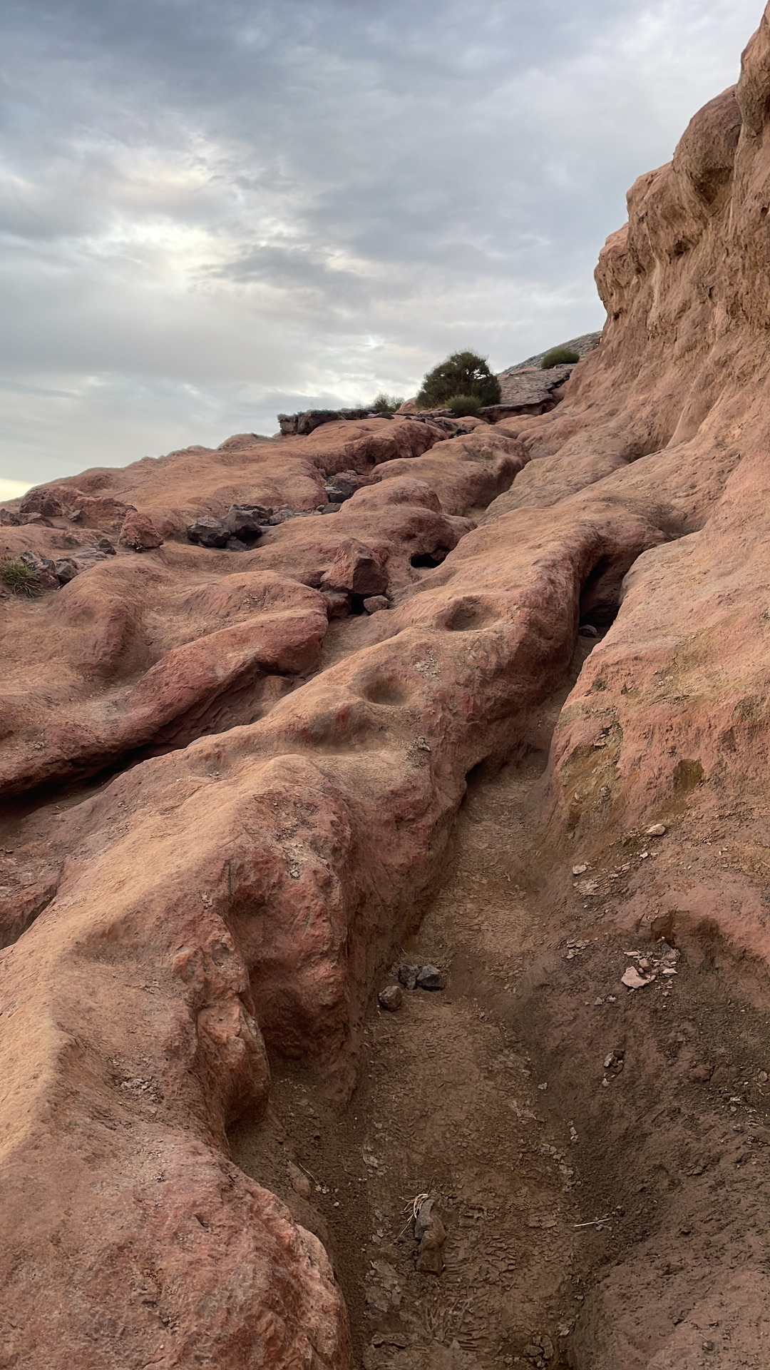 Trek na Gran Vulcano
