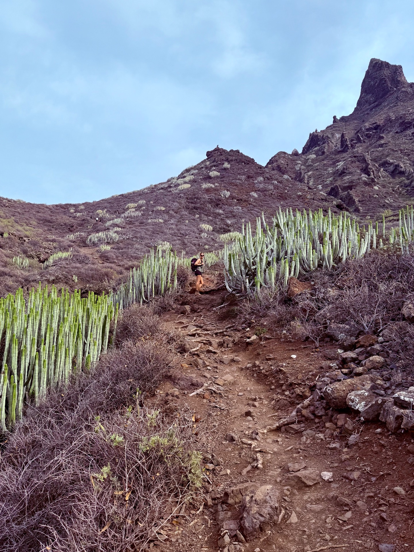 Trasa Taganana - pláž Tamadite