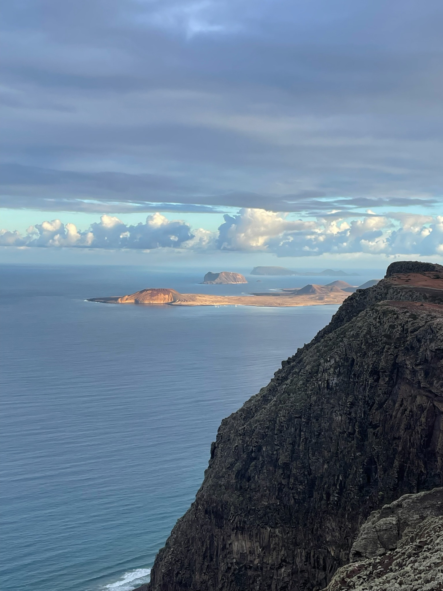 Parque El Bosquecillo