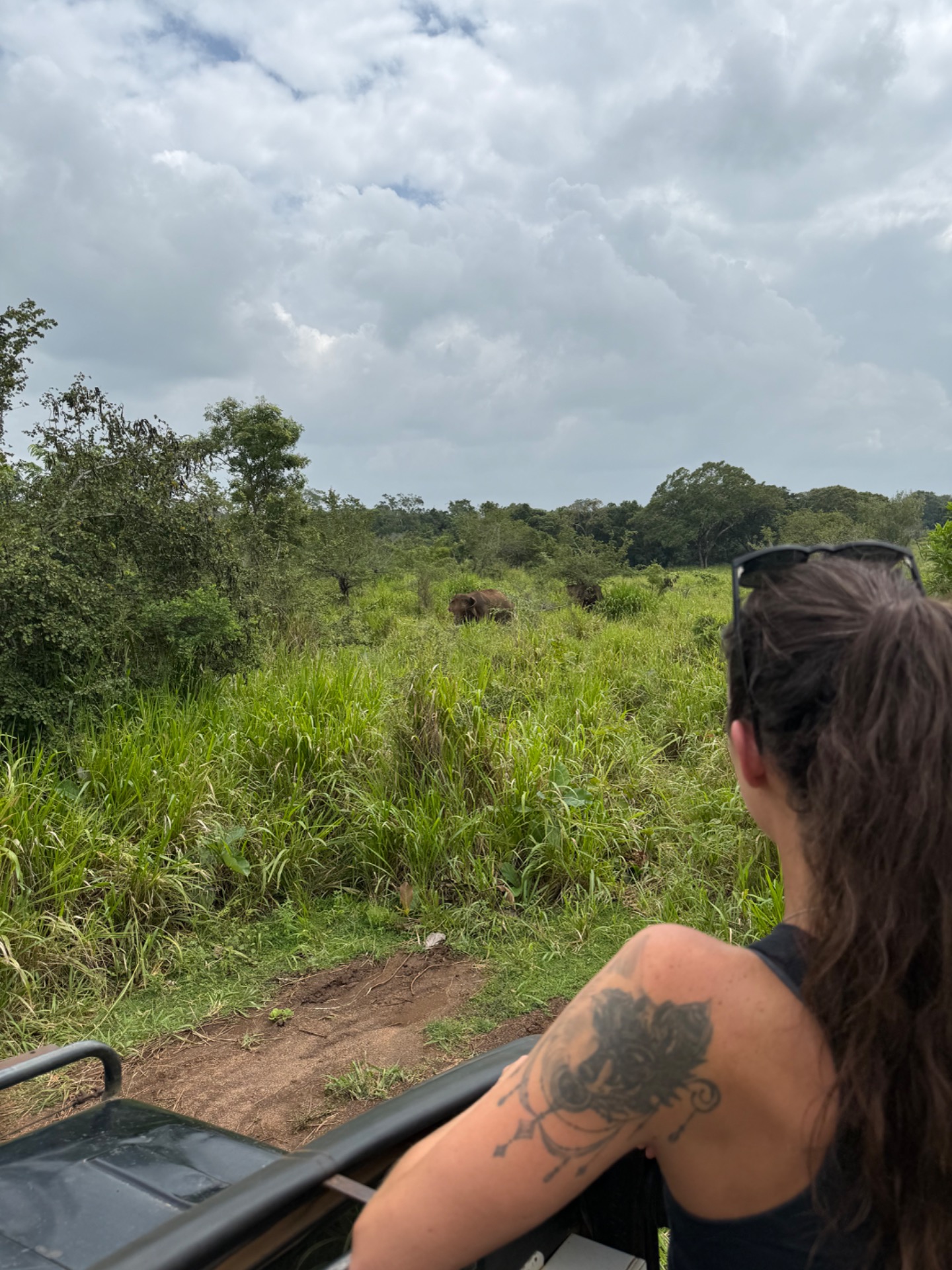 Safari na Srí Lance