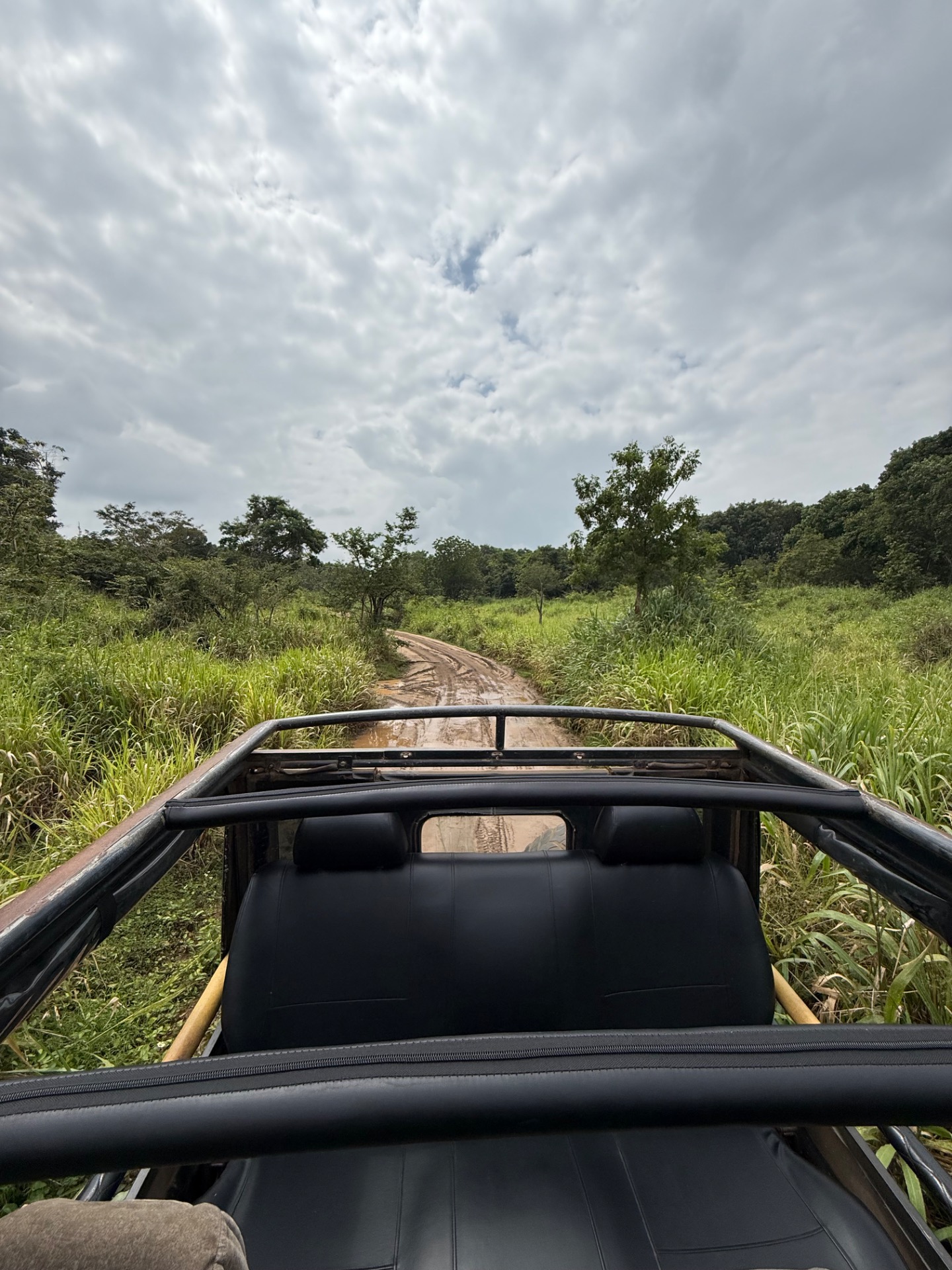 Safari na Srí Lance