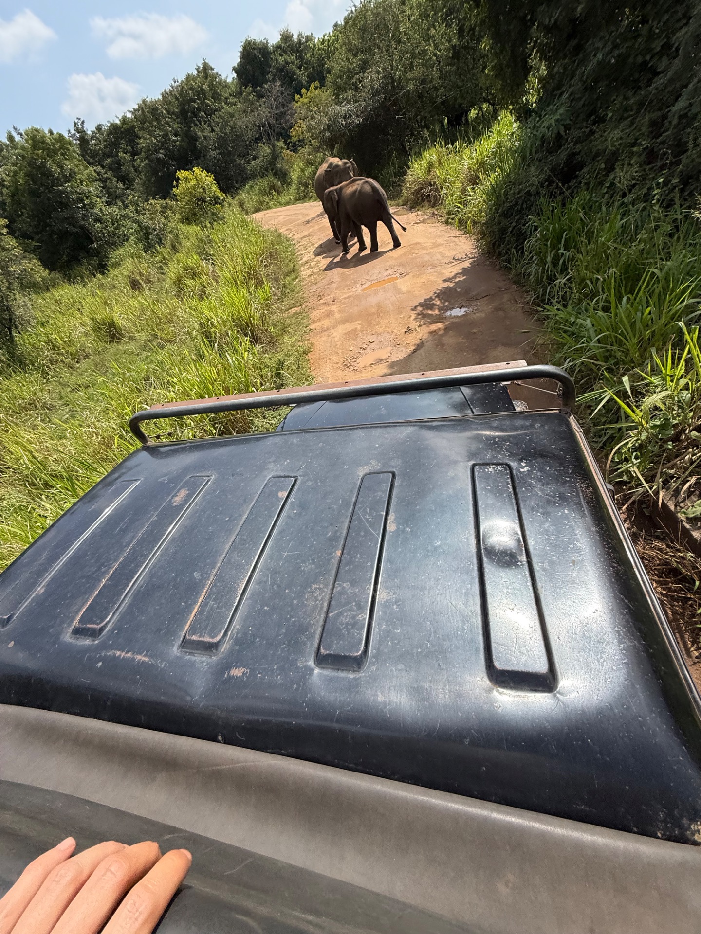 Safari na Srí Lance