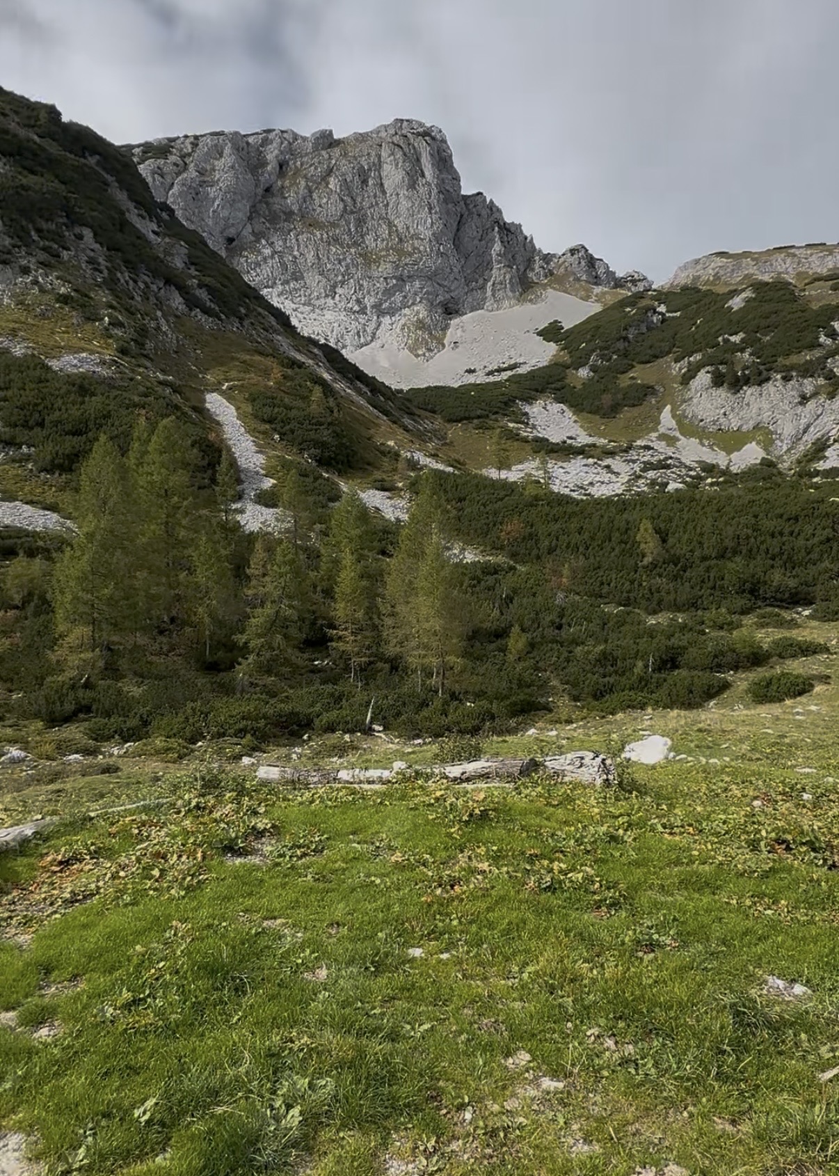 Tauplitzalm trek