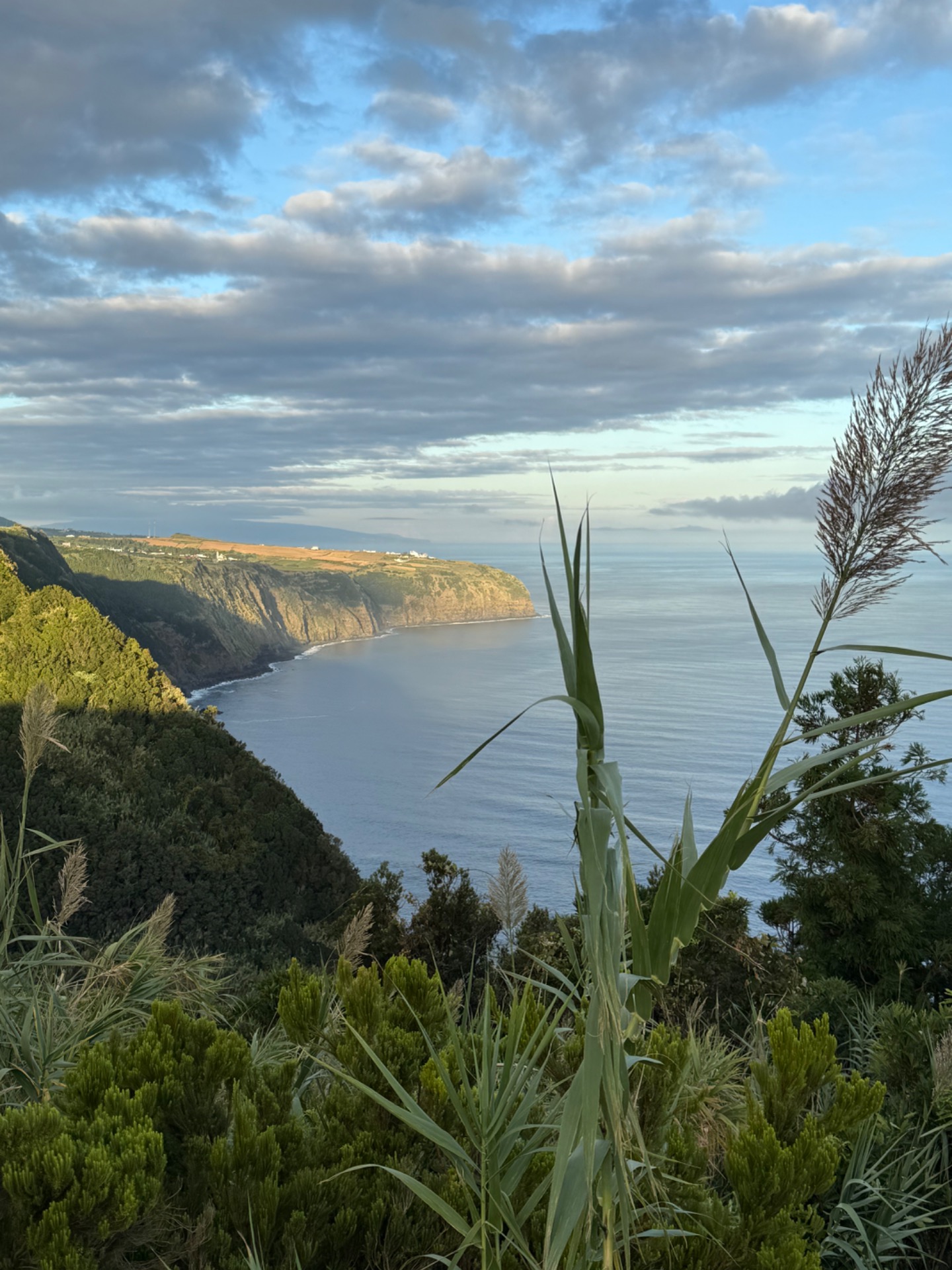 MIRADOURO DA BORDA DA LADEIRA