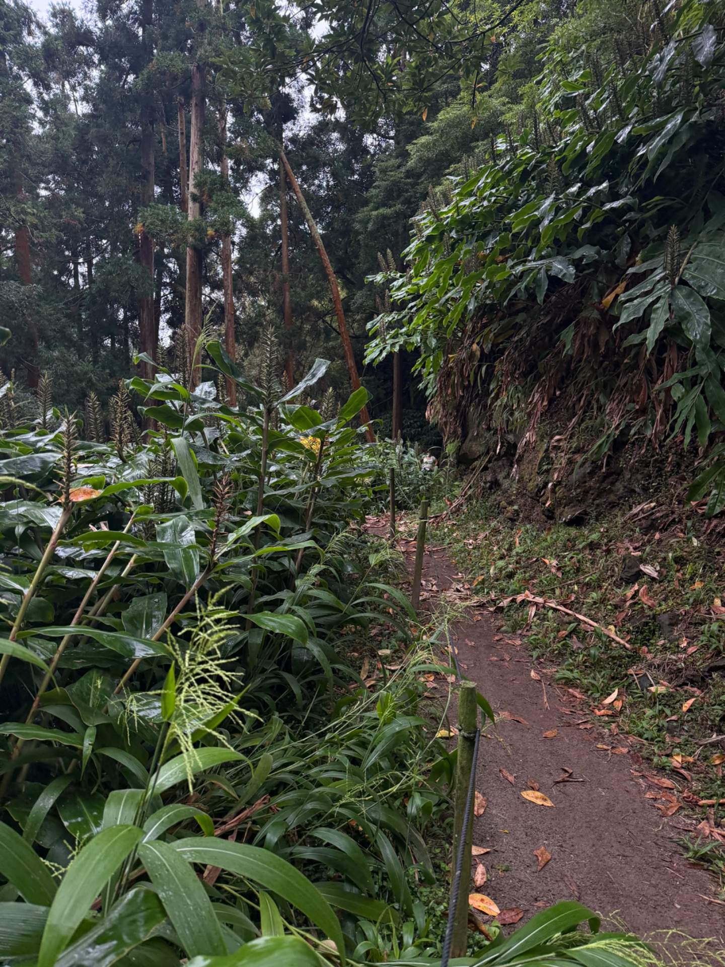 Quatro Fábricas da Luz