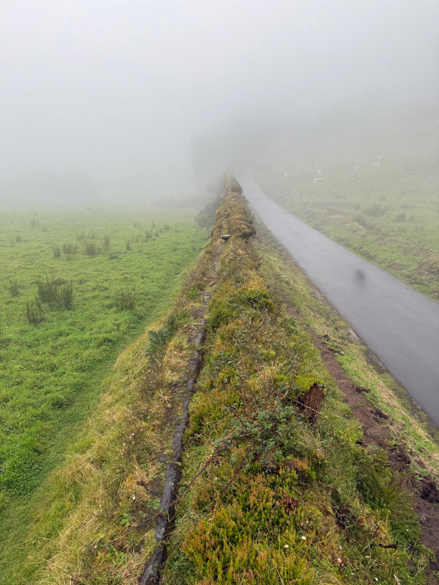 MURO DAS NOVE JANELAS