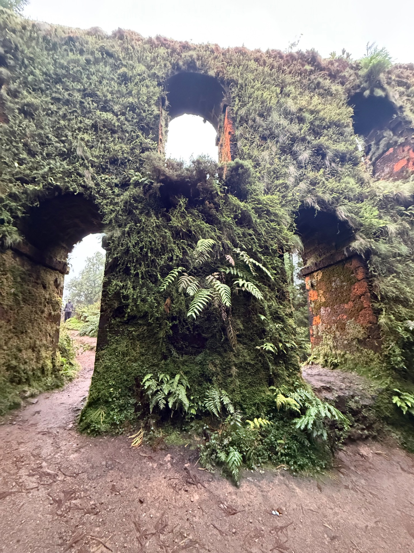 MURO DAS NOVE JANELAS