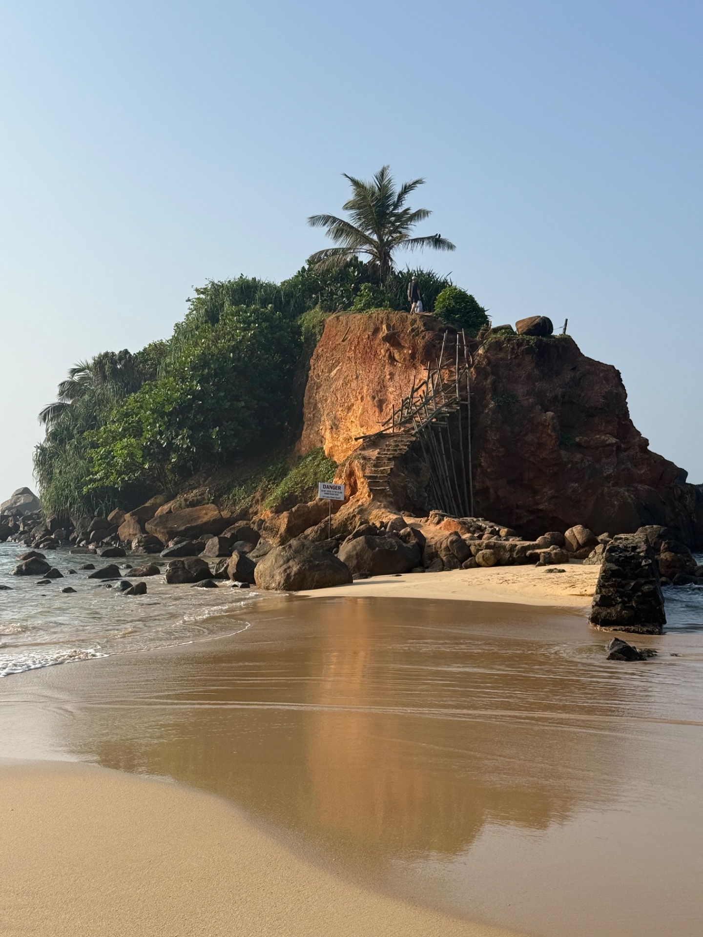 Parrot Rock