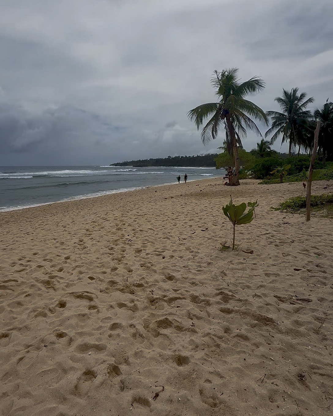 Pacifico Beach 