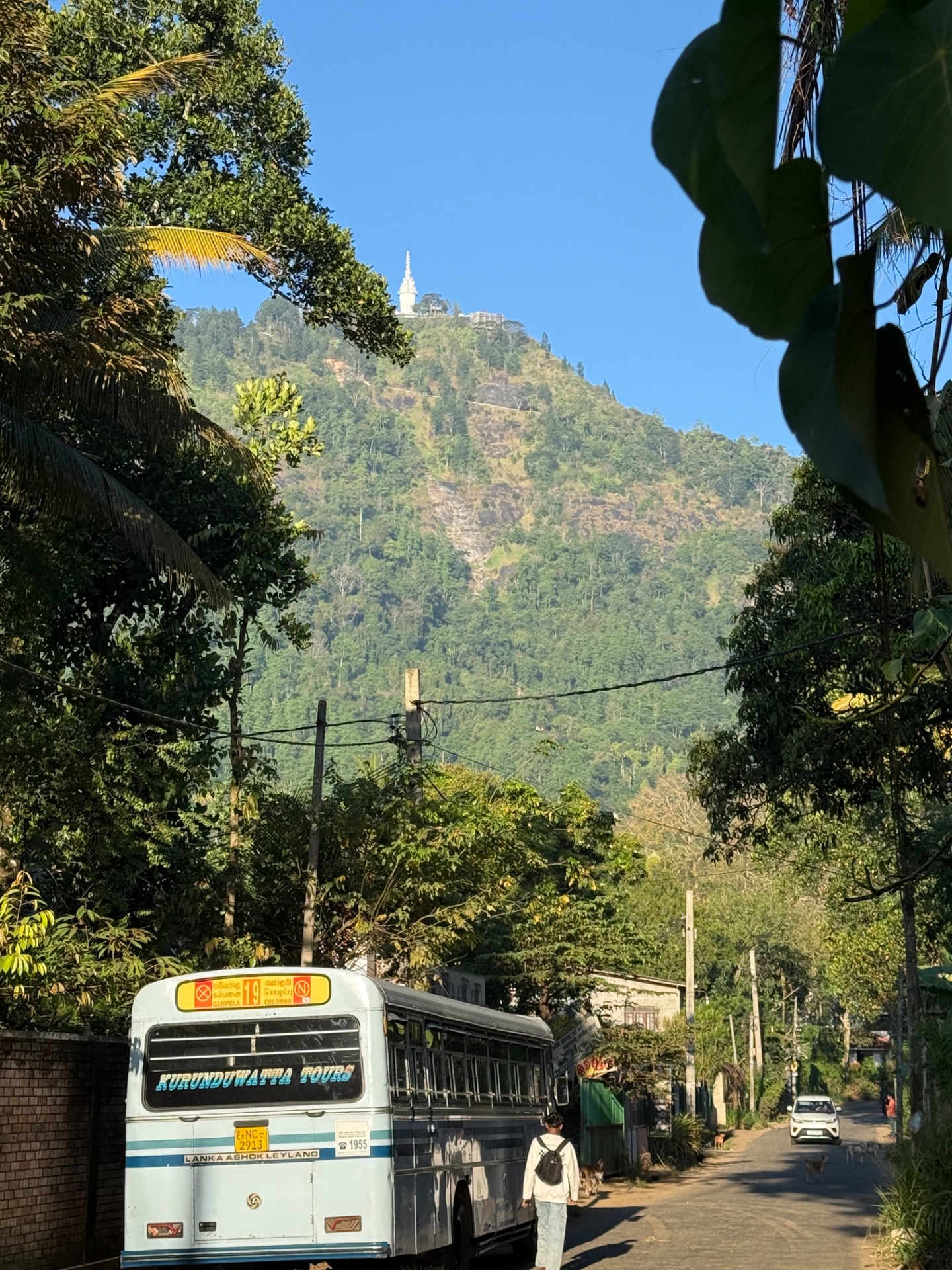 AMBULUWAWA TOWER 