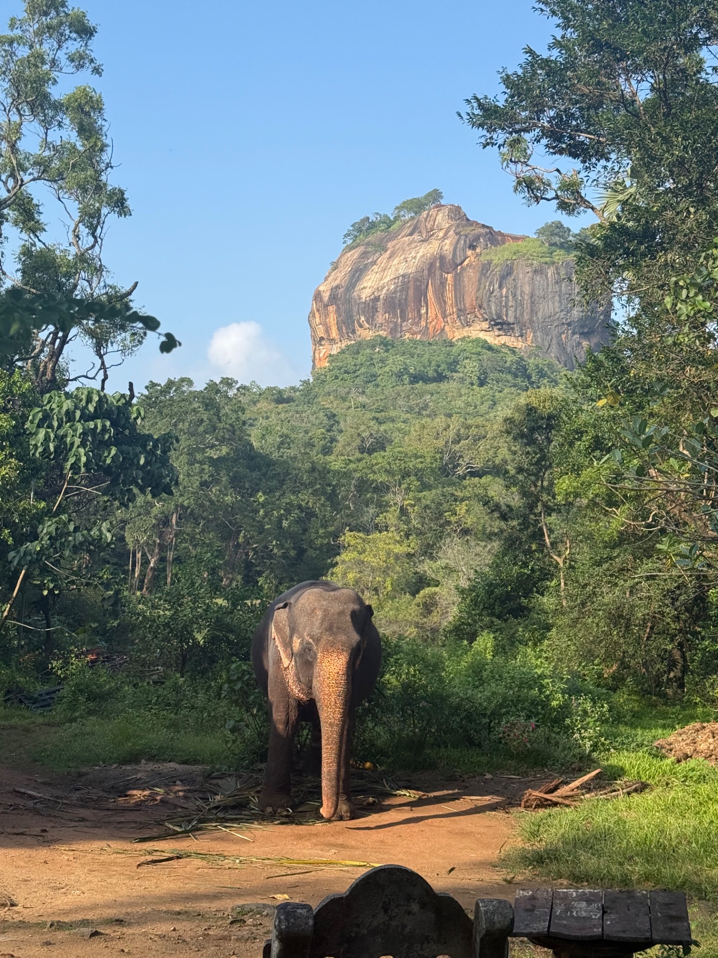 Lion Rock