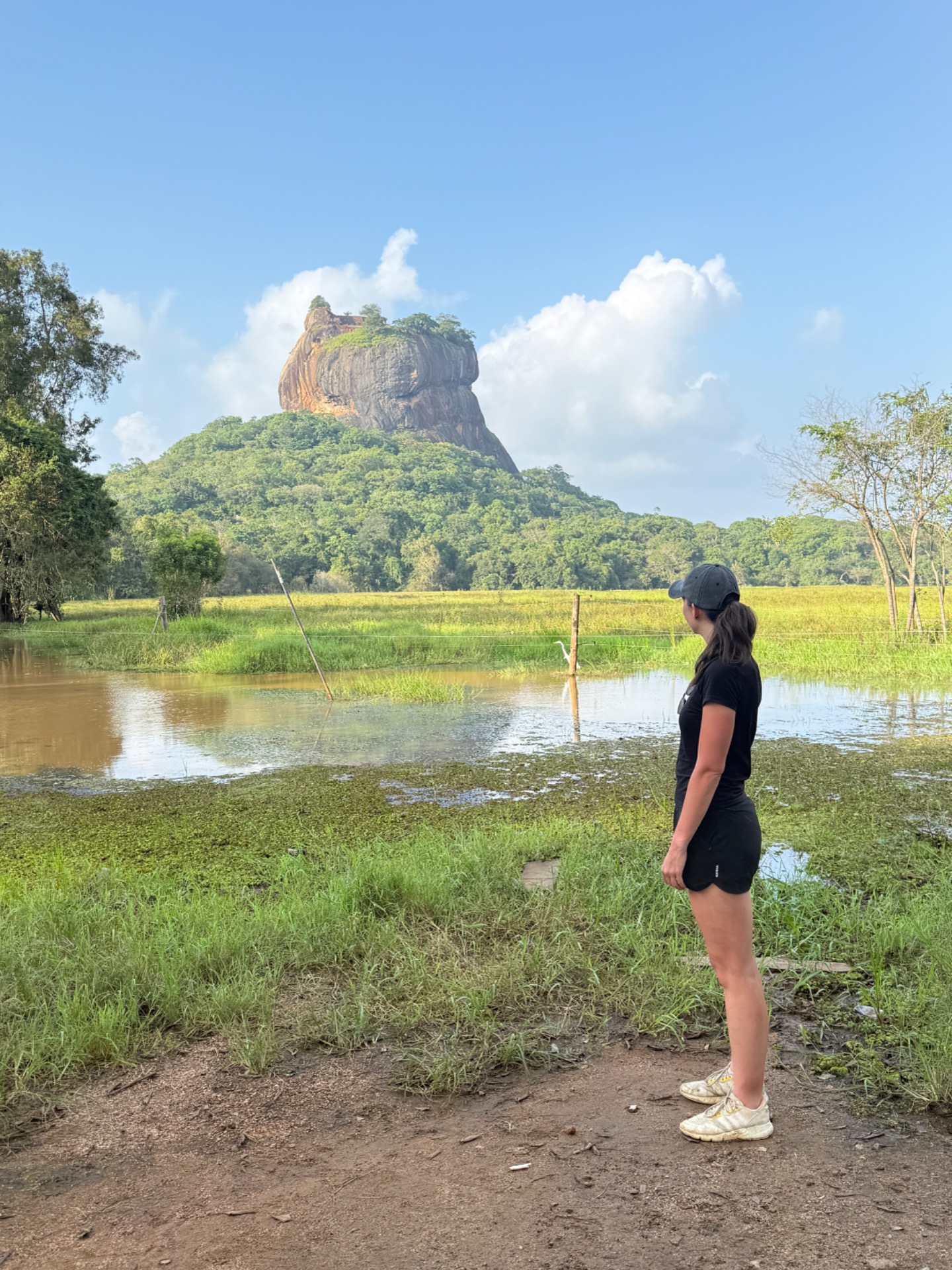 Lion Rock