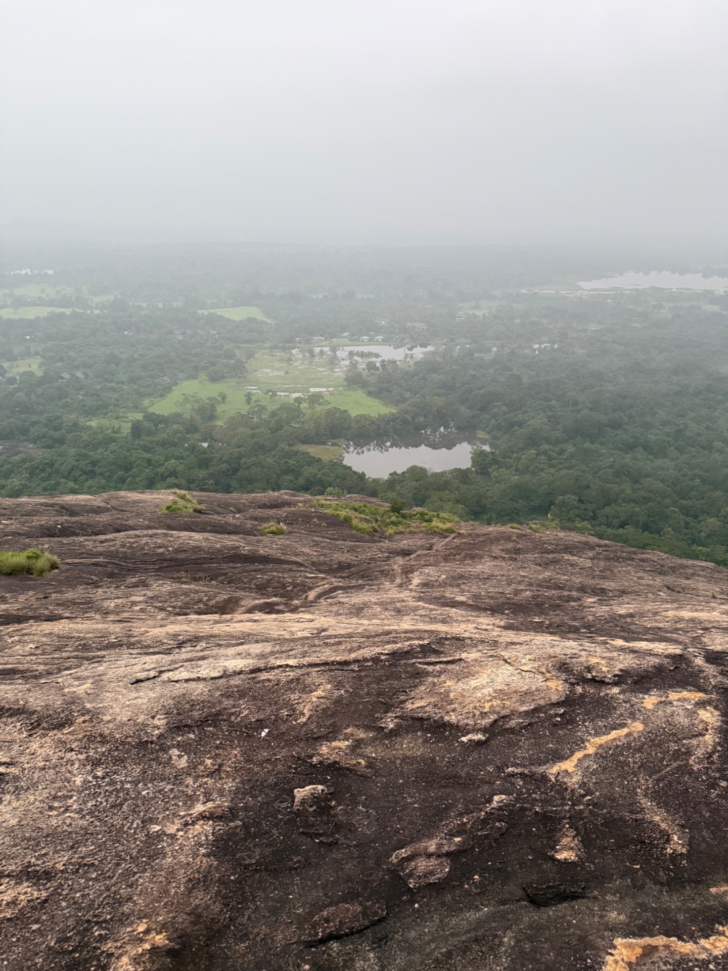 SIGIRIYA ROCK VS. PIDURANGALA ROCK