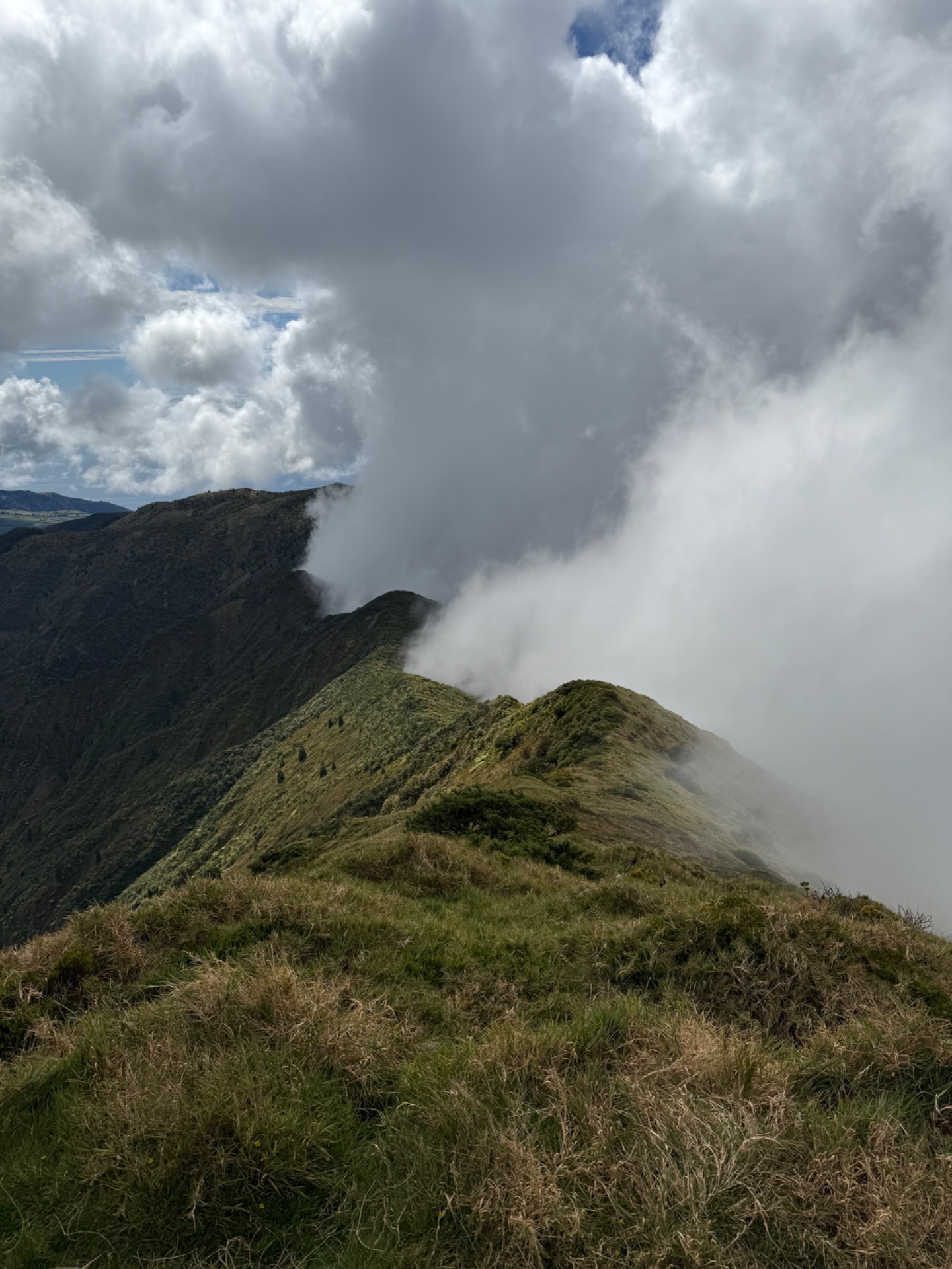 PICO DA VARA