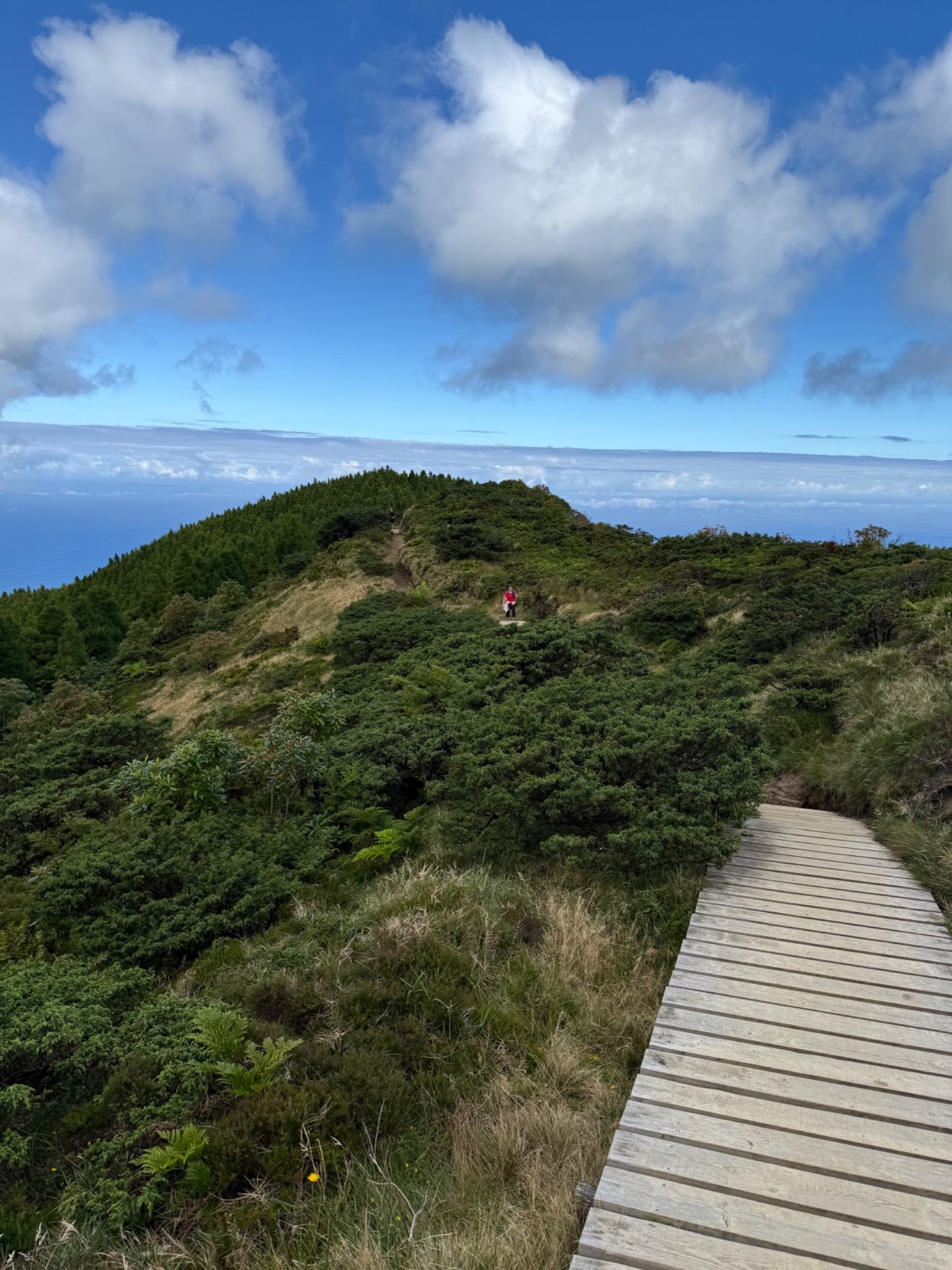 PICO DA VARA