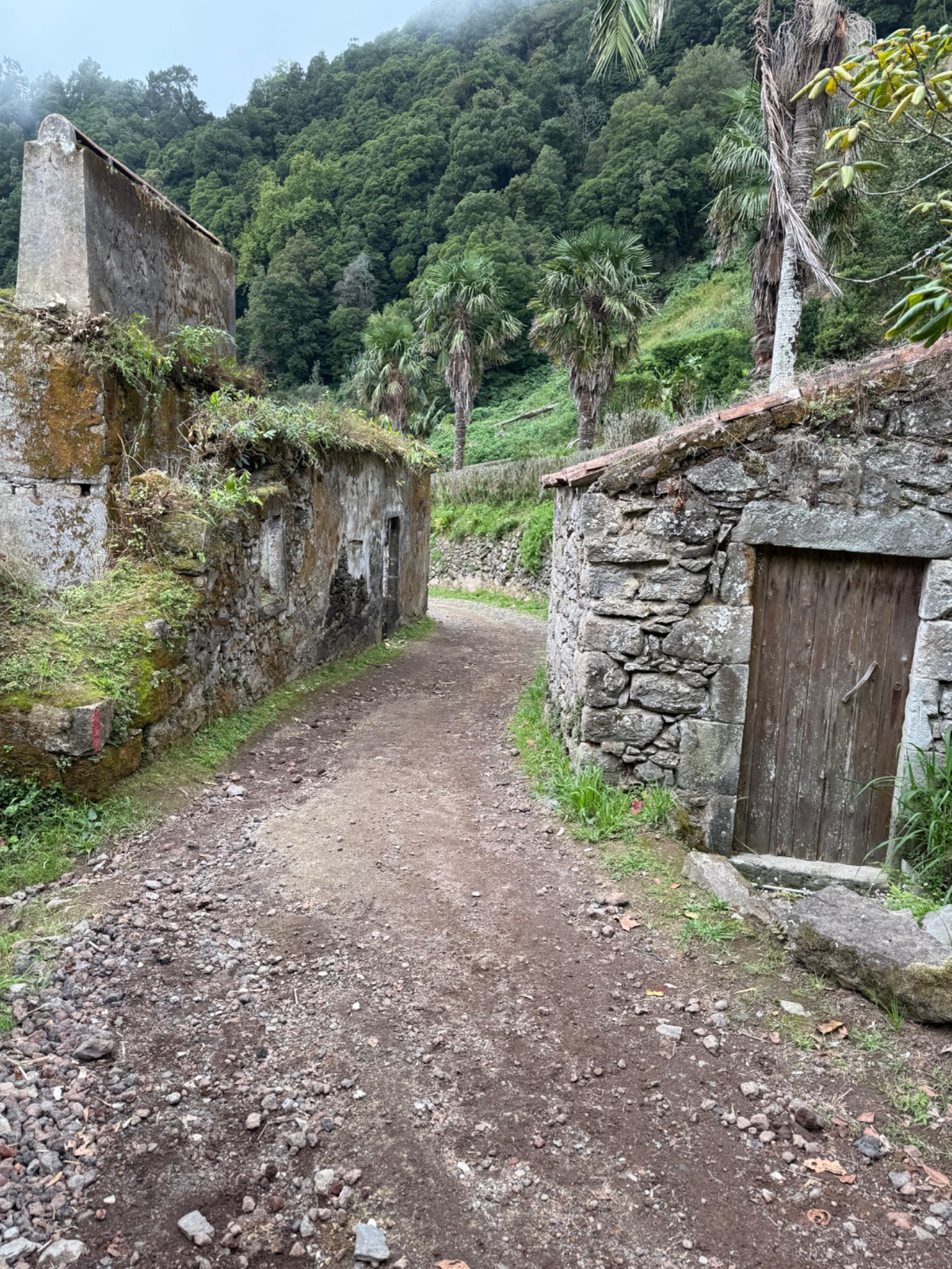 SANGUINHO 