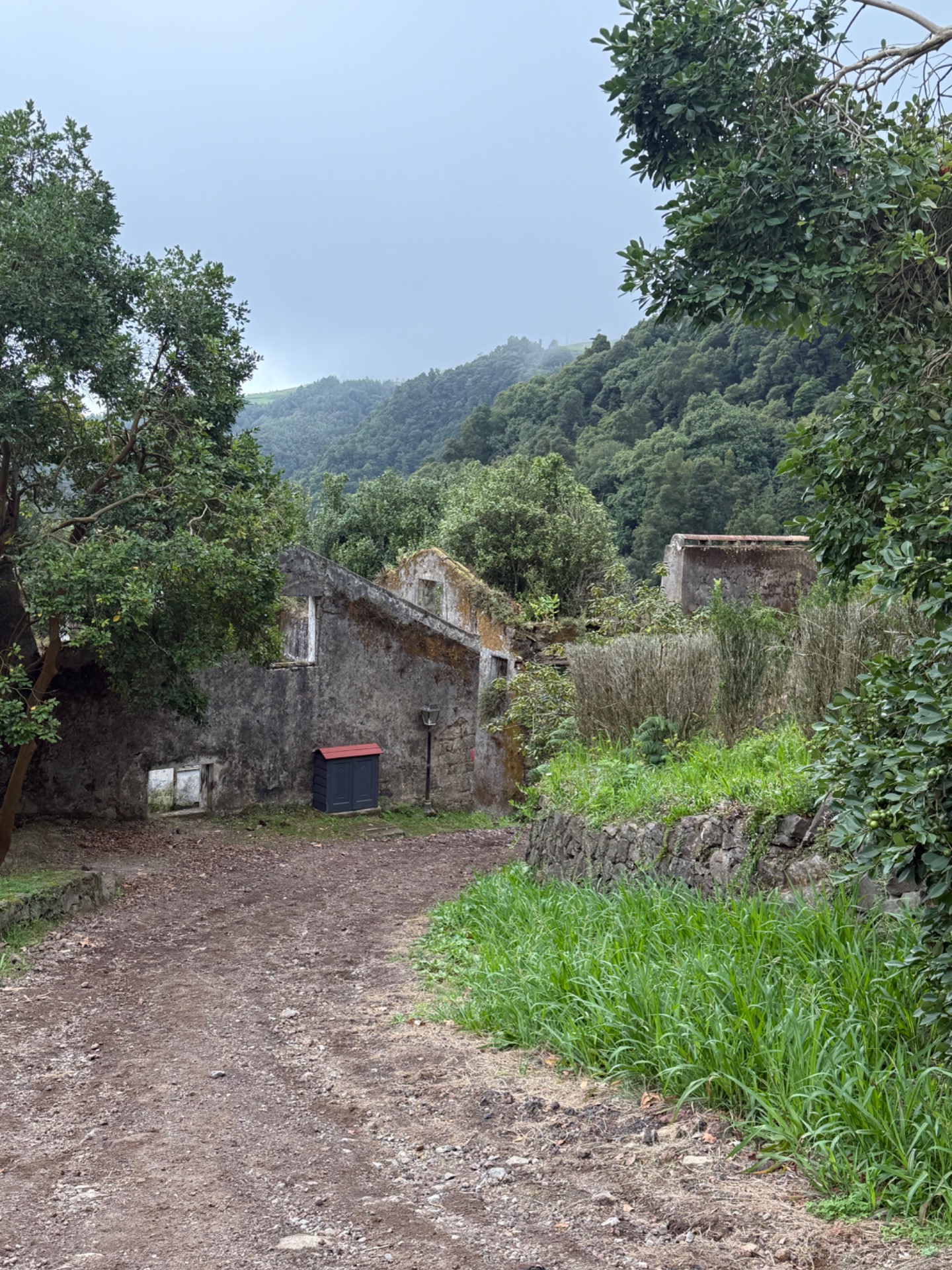 SANGUINHO 