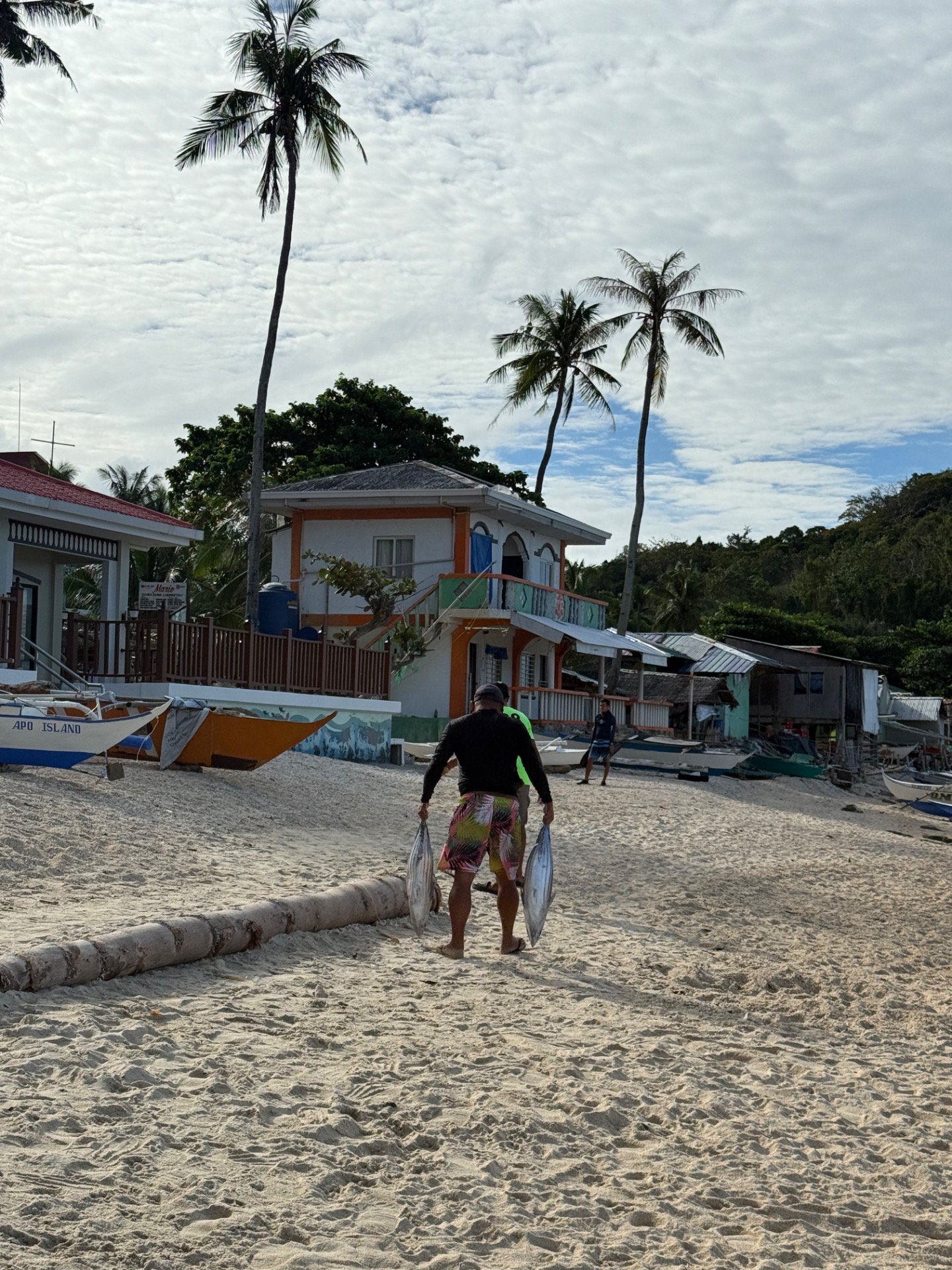 Apo Island