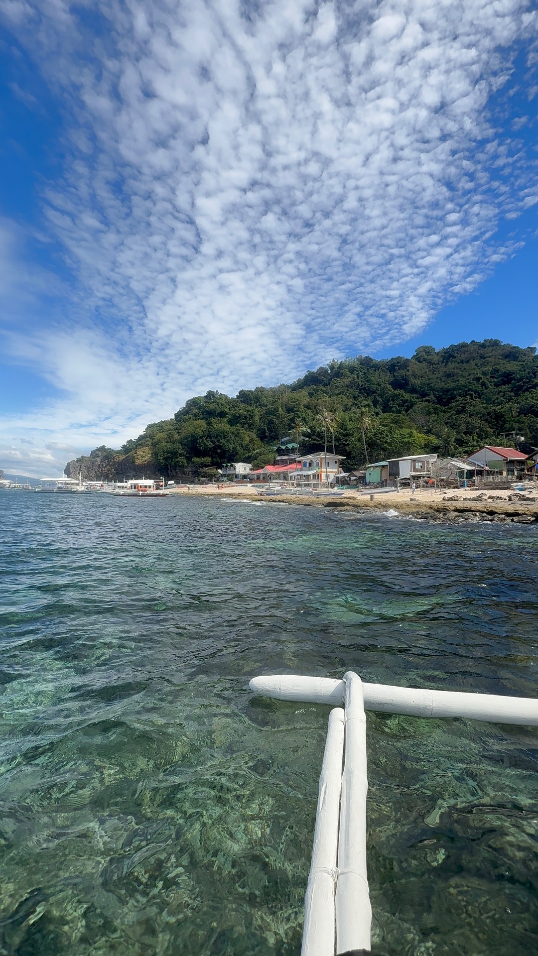 Apo Island