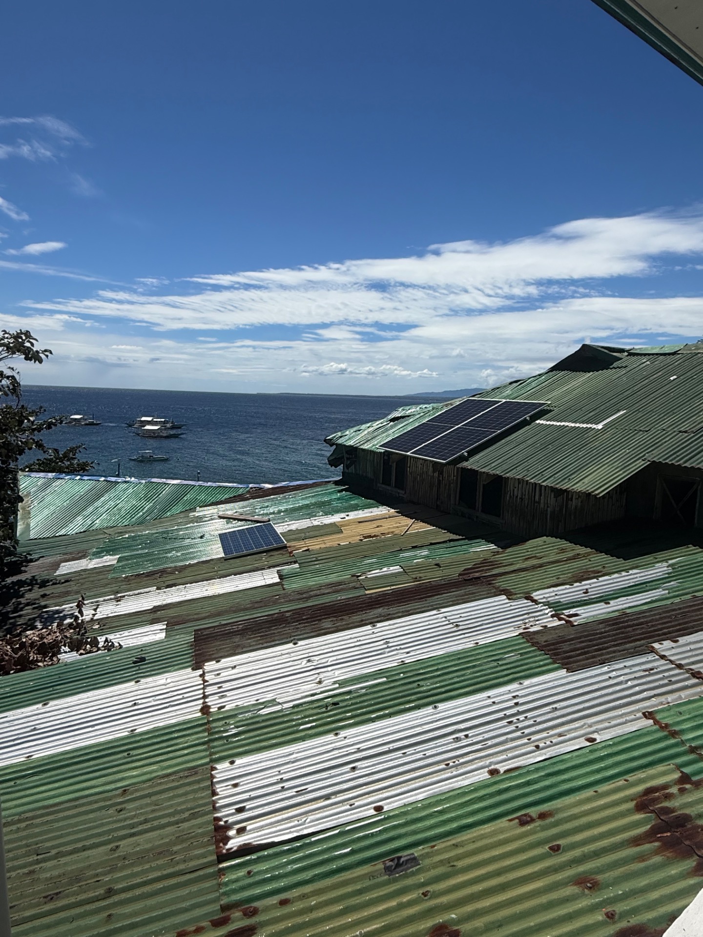 Apo Island