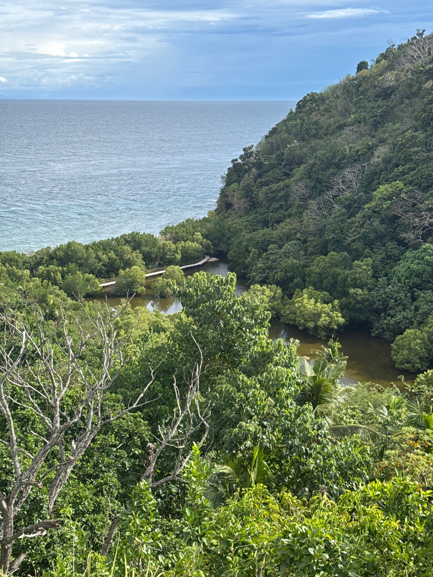 Trek na Apo Island