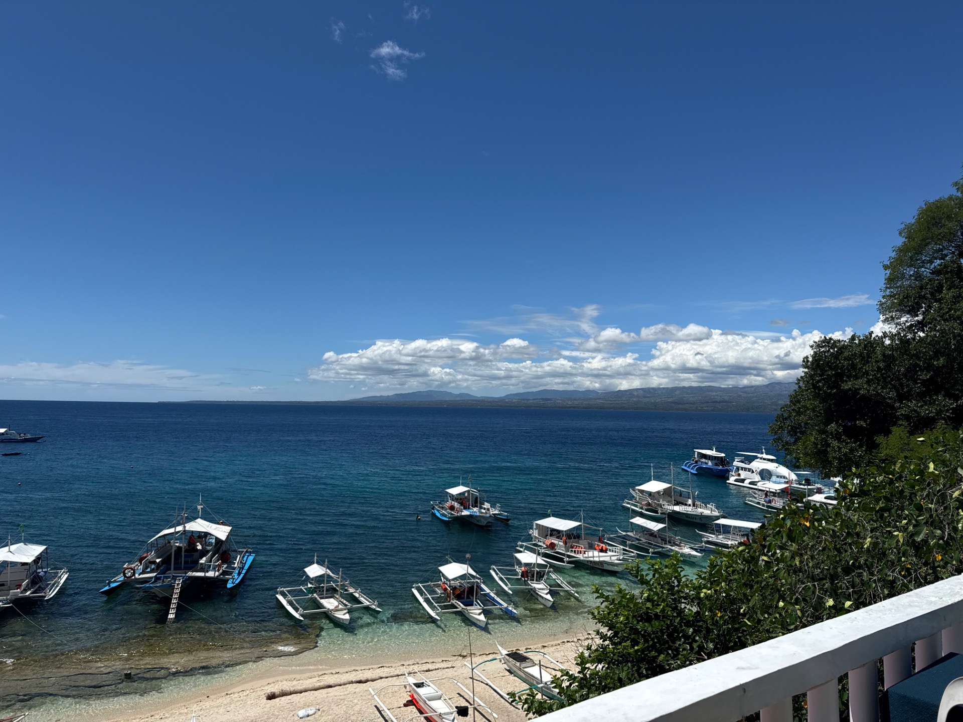 Apo Island